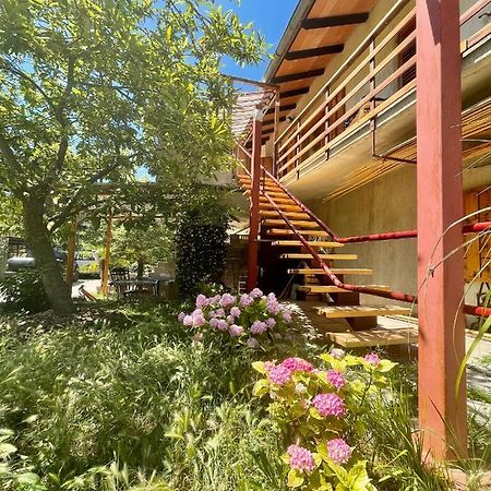 Apartment Olive Grove Izola Buitenkant foto